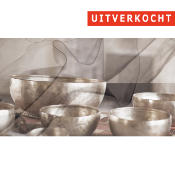 24/11 - Ligconcert 'The chant of the bowls' - Torhout