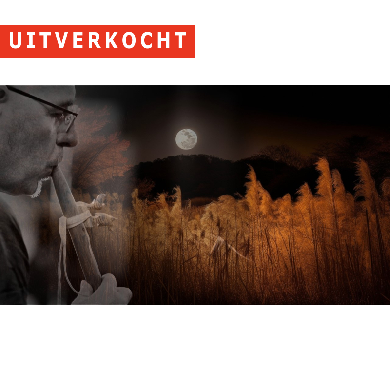 29/07 - Volle maanconcert - Torhout