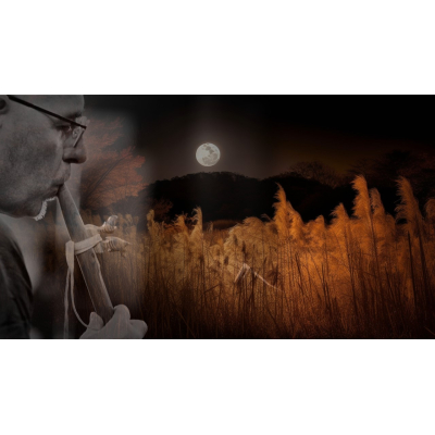29/07 - Volle maanconcert - Torhout
