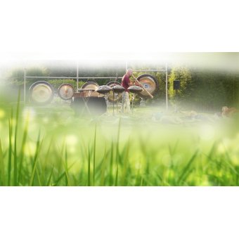 25/07 - Ligconcert 'Summer vibes' - Torhout