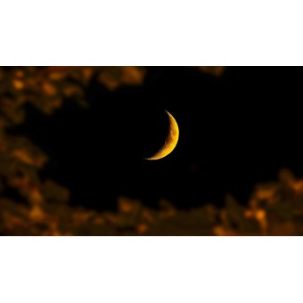 08/11 - Ligconcert 'Moonlight' - Lier