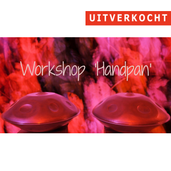 29/01 - Workshop 'Handpan' - Torhout