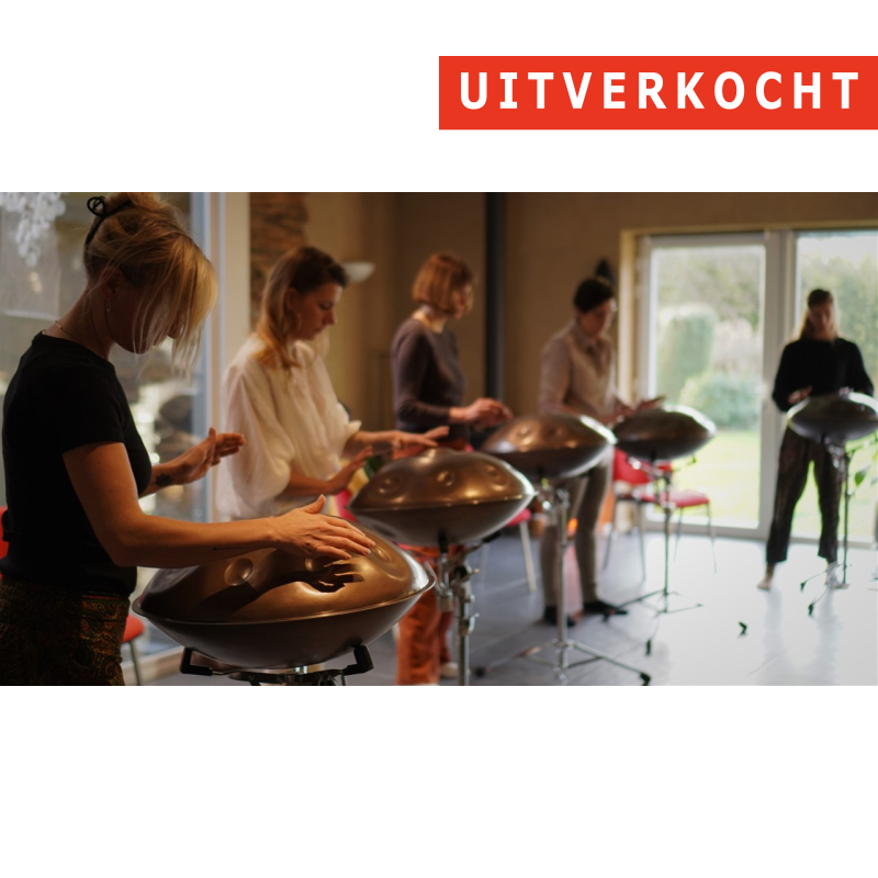 26/07 - Workshop 'Handpan' - Torhout
