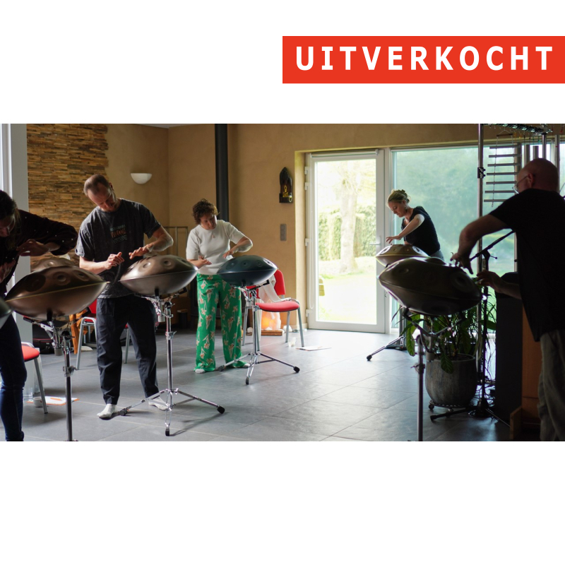 22/02 - Workshop 'Handpan' - Torhout