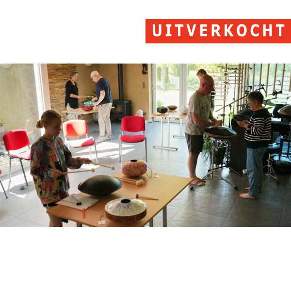 31/01 - Workshop 'Tongue drum' - Torhout