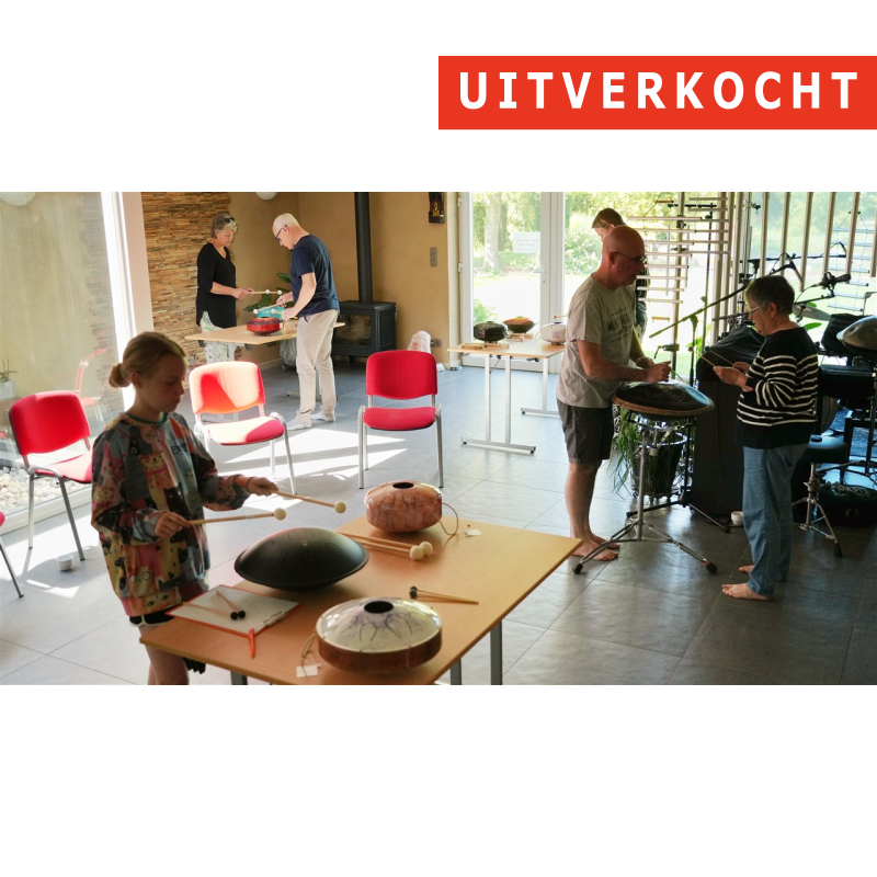 31/01 - Workshop 'Tongue drum' - Torhout
