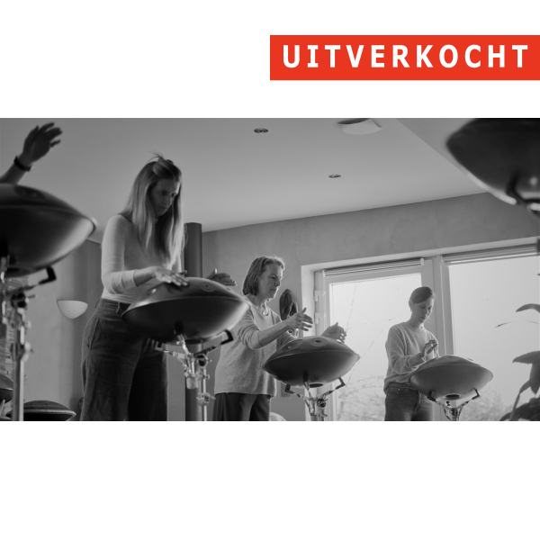 18/01 - Workshop 'Handpan' - Torhout