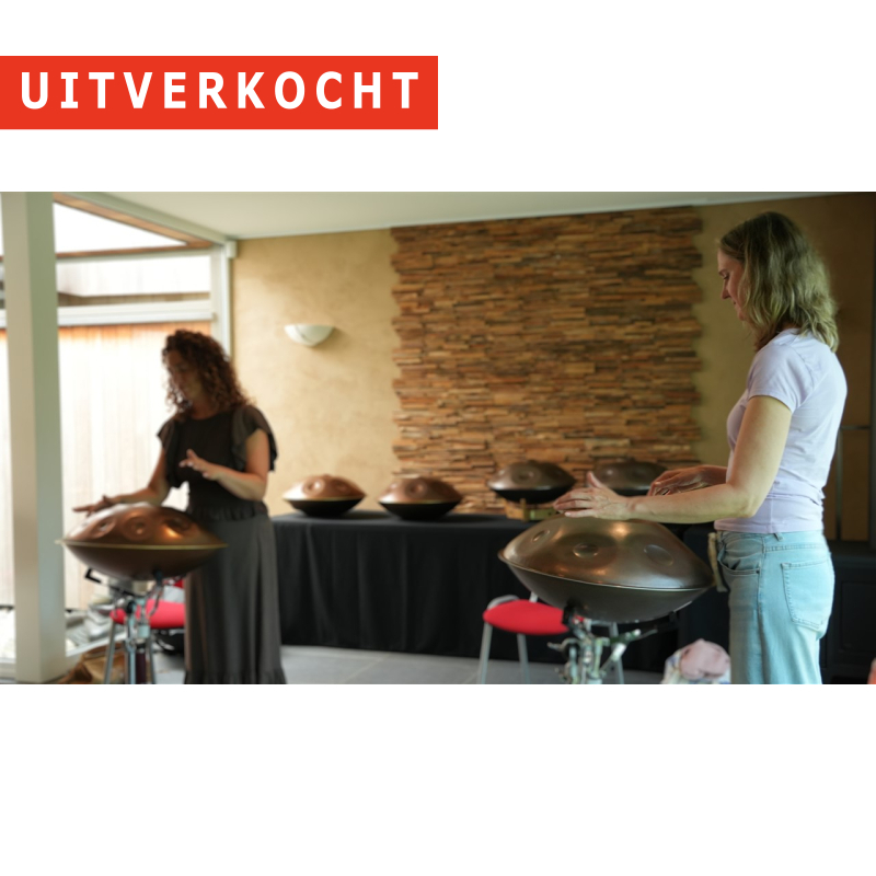 15/03 - Workshop 'Handpan' - Torhout