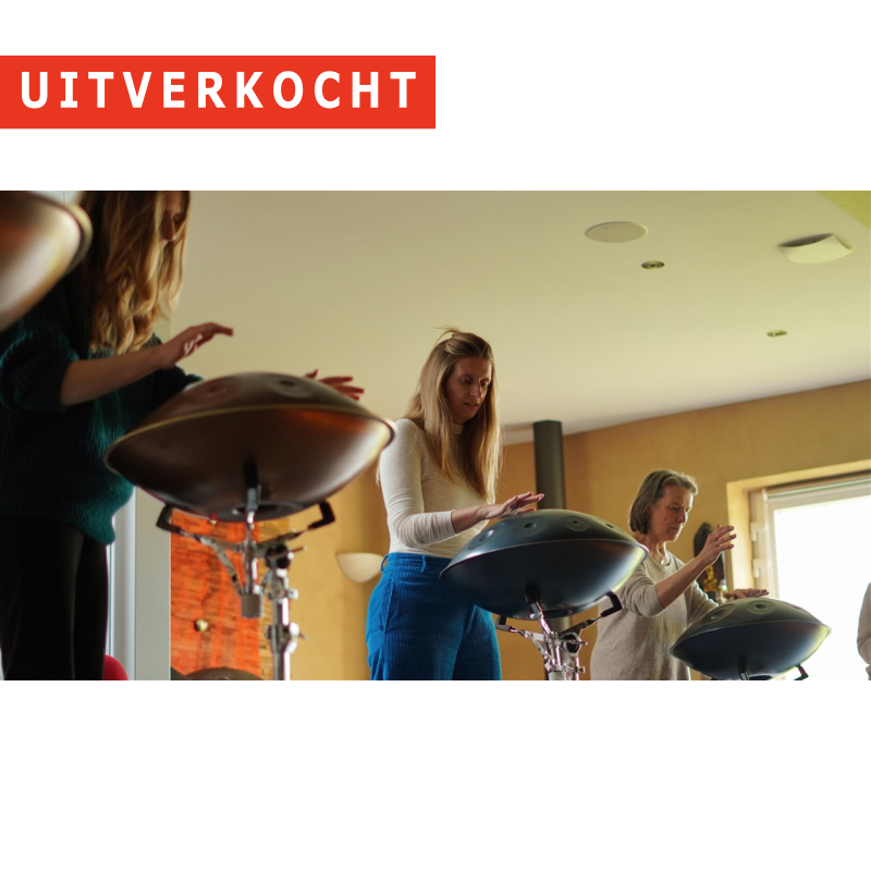 24/05 - Workshop 'Handpan' - Torhout