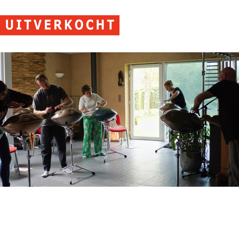 09/08 - Workshop 'Handpan' - Torhout