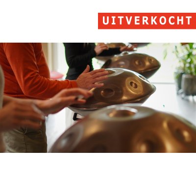 01/02 - Workshop 'Handpan' - Torhout